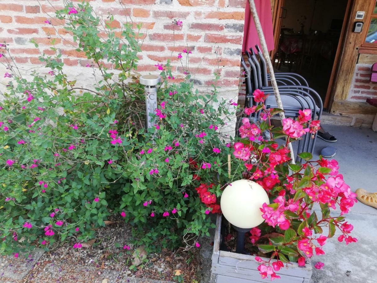 La Maison Du Bonheur Saint-Martin-en-Bresse Esterno foto